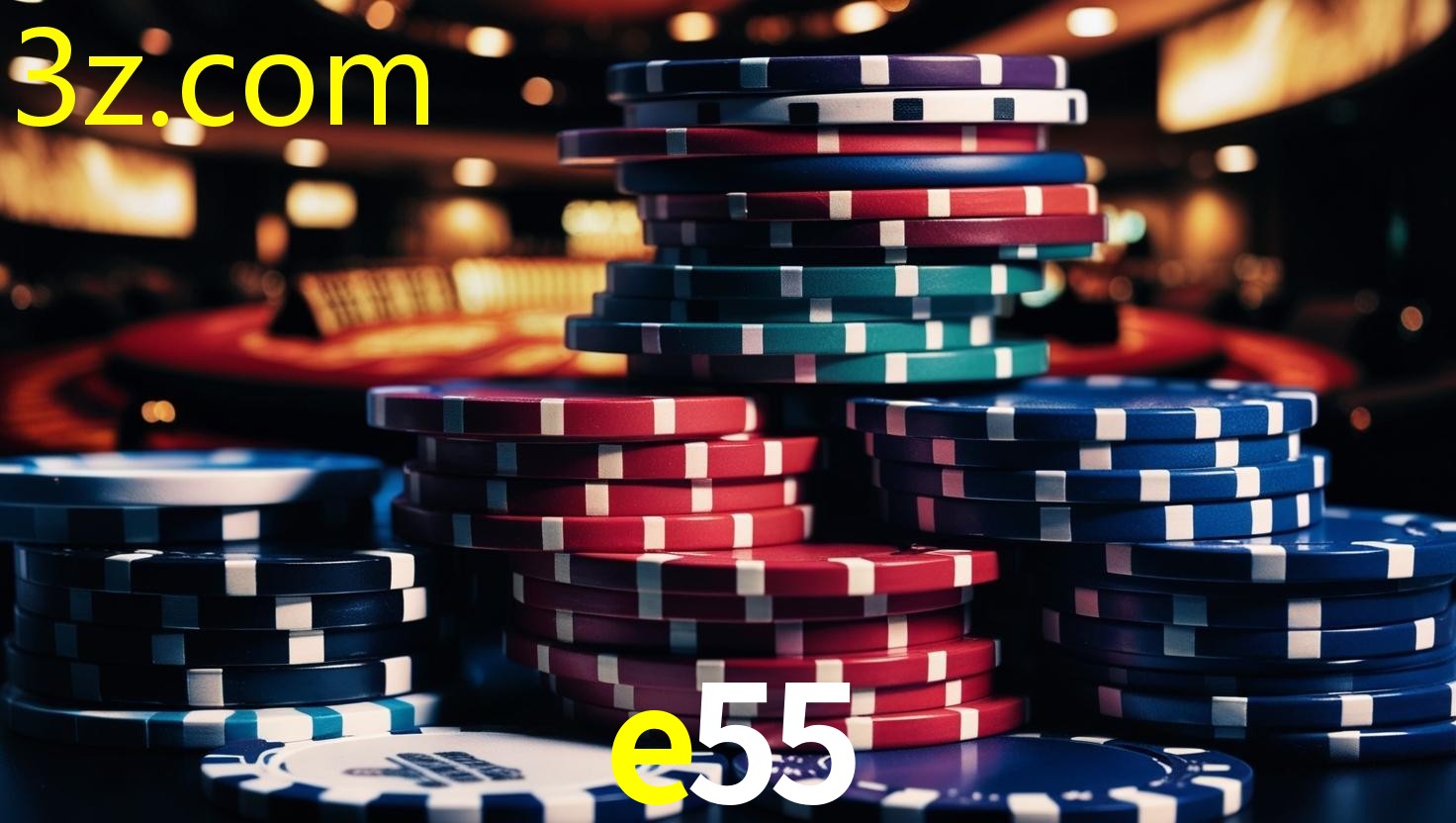 E55.COM
